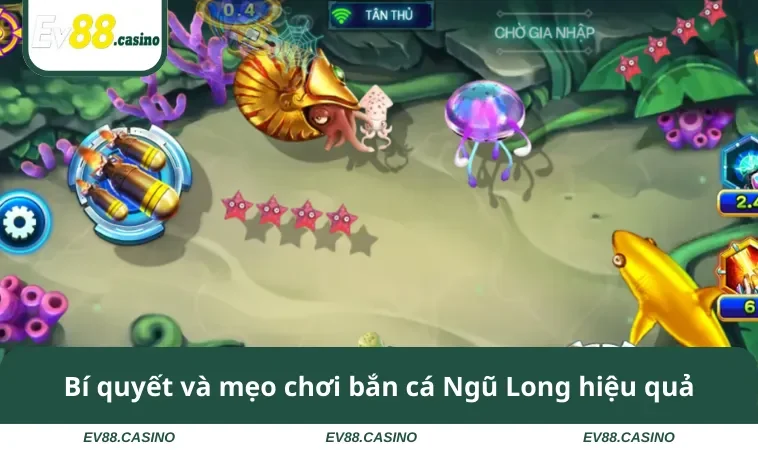 ban ca ngu long 3 Bí quyết và mẹo chơi bắn cá Ngũ Long hiệu quả