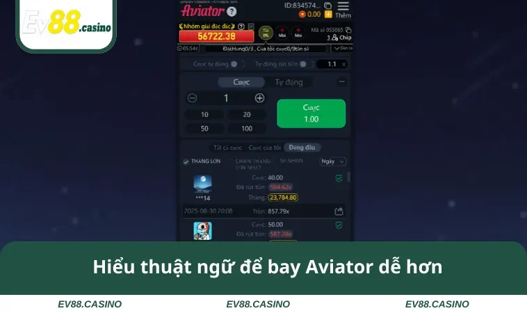 cach choi aviator 2 Hiểu thuật ngữ để bay Aviator dễ hơn