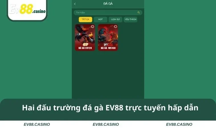 da ga ev88 1 Hai đấu trường đá gà EV88 trực tuyến hấp dẫn