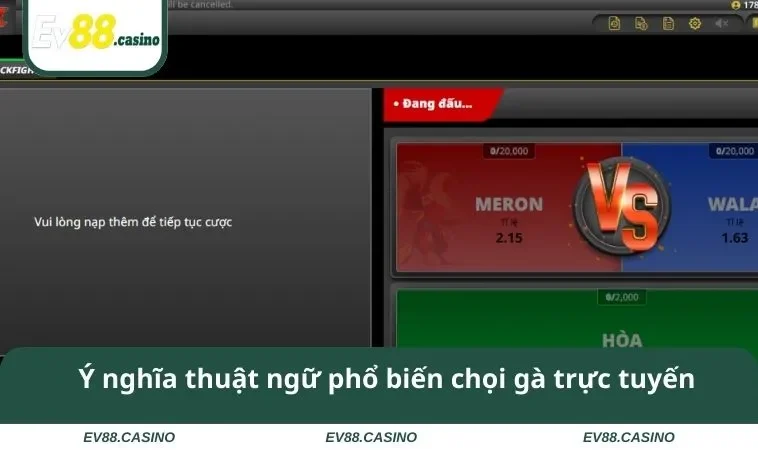 da ga ev88 2 Ý nghĩa thuật ngữ phổ biến chọi gà trực tuyến