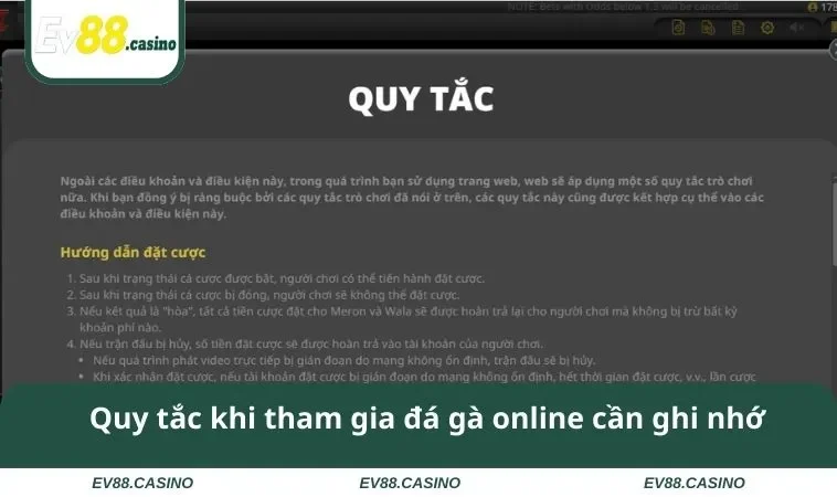 da ga ev88 3 Quy tắc khi tham gia đá gà online cần ghi nhớ