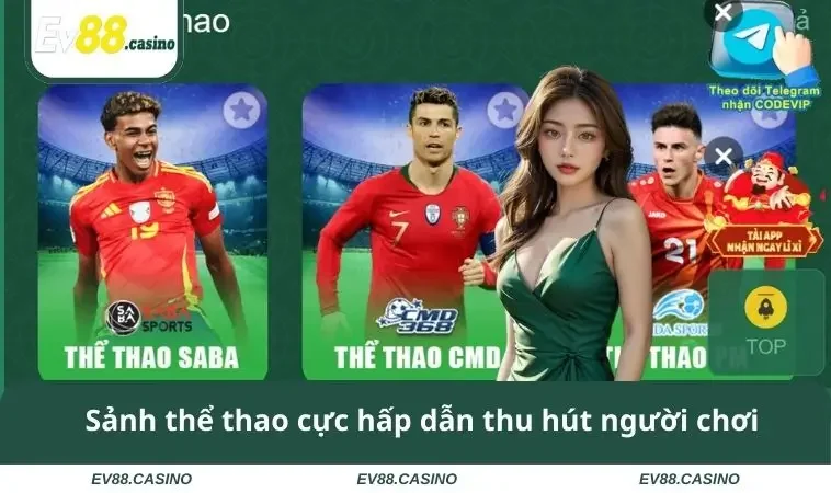 sanh the thao cuc hap dan thu hut nguoi choi Sảnh thể thao cực hấp dẫn thu hút người chơi